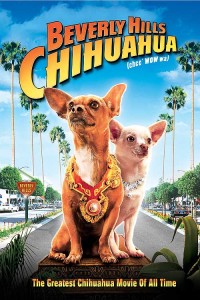 BEVERLY_HILLS_CHIHUAHUA-web